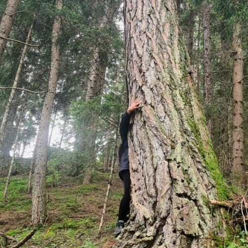 Schülerin umarmt Baum