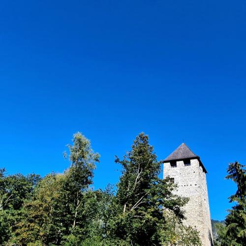 Burg St. Petersberg