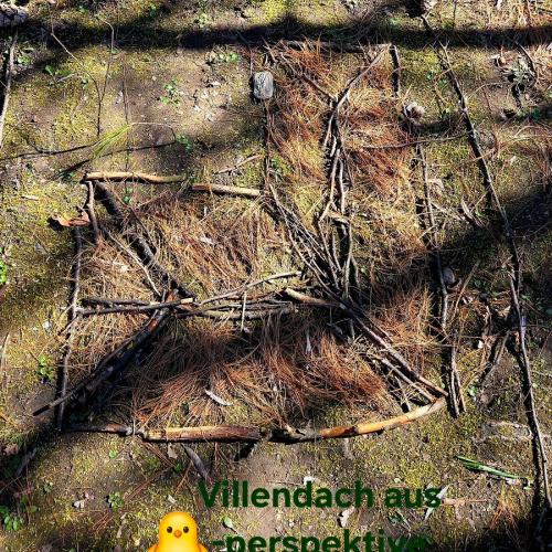 Naturbild - Villendach aus Vogelperspektive