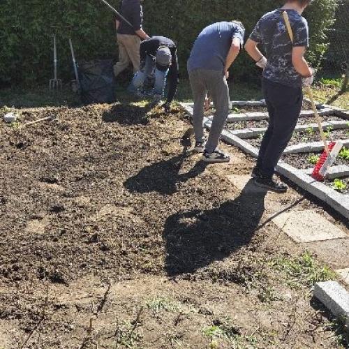 Schüler bei der Gartenarbeit