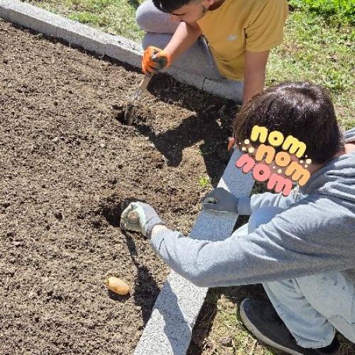 Schüler bei der Gartenarbeit