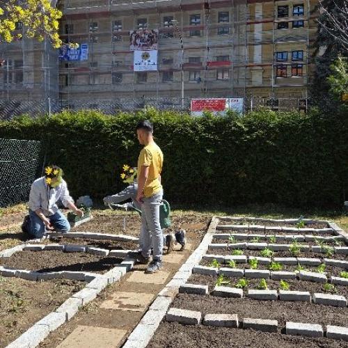 Schüler bei der Gartenarbeit