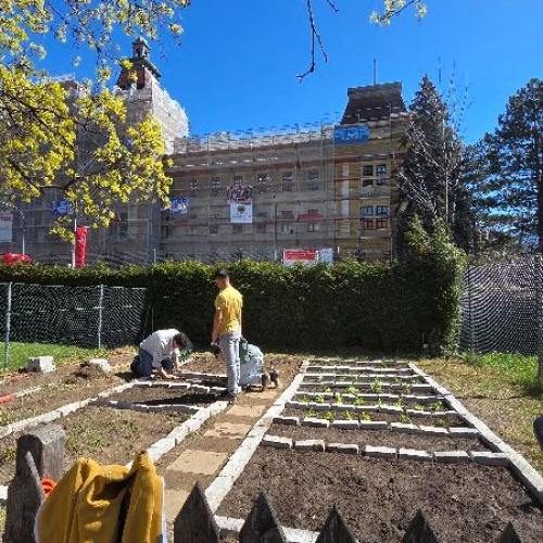 Schüler bei der Gartenarbeit