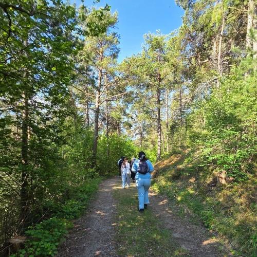 Wanderweg