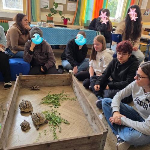 Schildkröten mit SchülerInnen