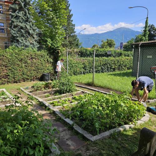 Neugestaltung eines Beetes