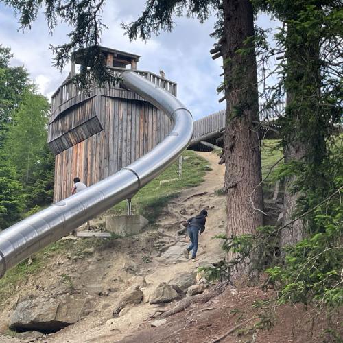 Schüler beim Wandern