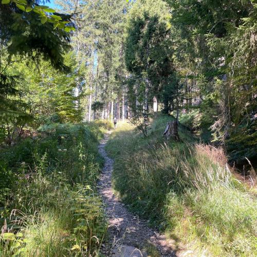 Wanderweg