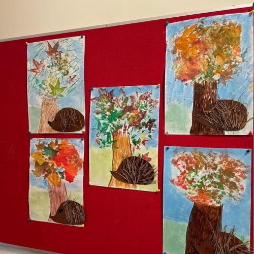 Igelbilder der MSKb Klasse