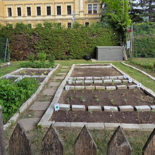 Schulgarten - Beetgestaltung