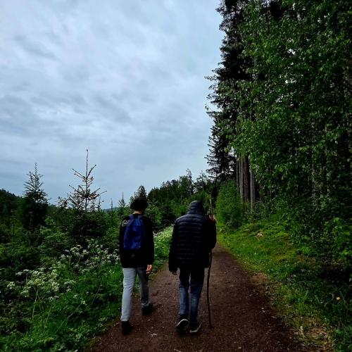 Schülergruppe auf dem Wanderweg