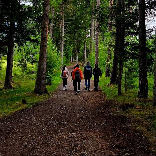 Schülergruppe auf dem Wanderweg