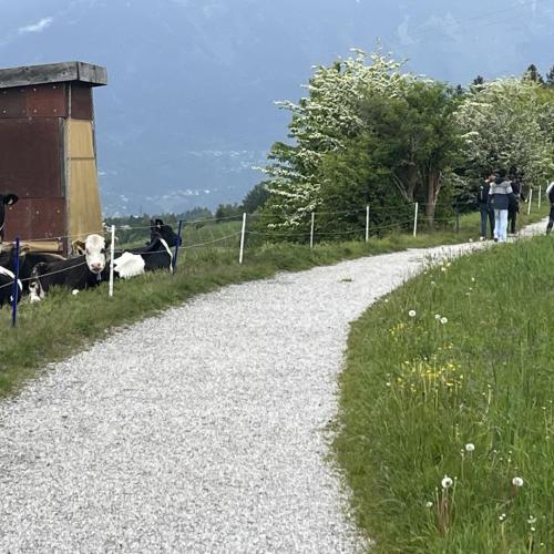 Schüler beim Wandern