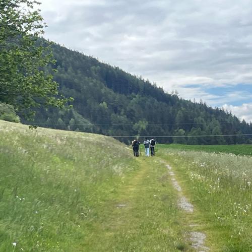 Schüler beim Wandern