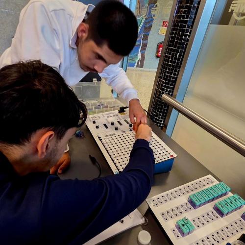 Schüler bei einer Station der Berufssafari - Elektrotechnik