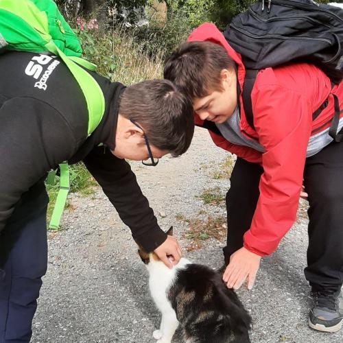 Schüler streicheln eine Katze