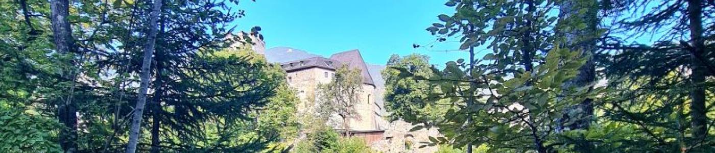 Burg St. Petersberg