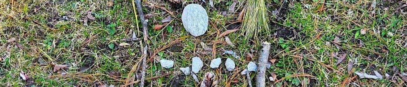 Naturbild - Gesicht mit Zunge
