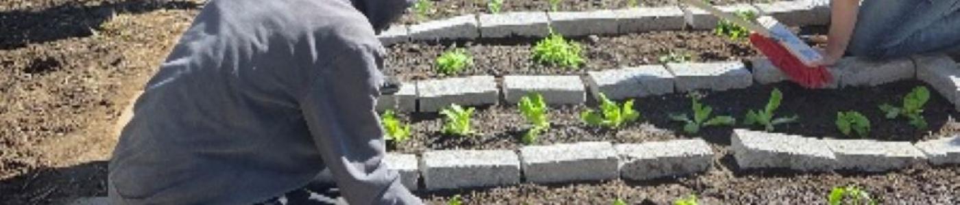 Schüler bei Gartenarbeit