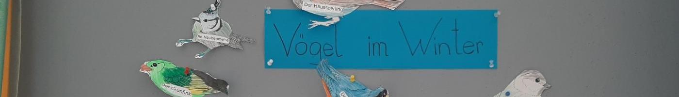 Collage aus Bildern von heimischen Vögeln