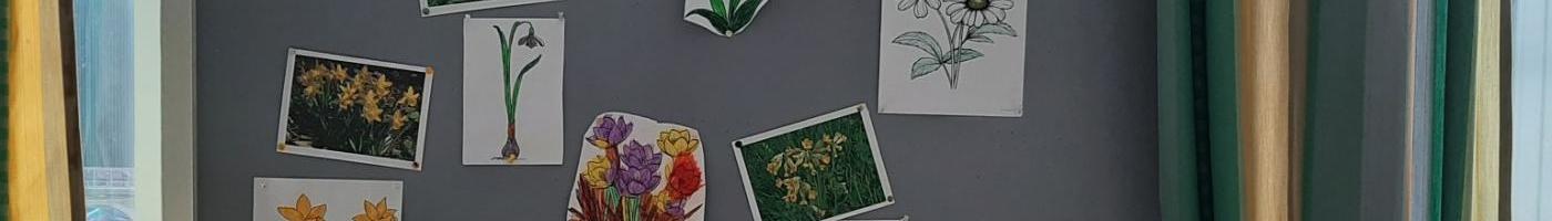 Collage über Frühblüher