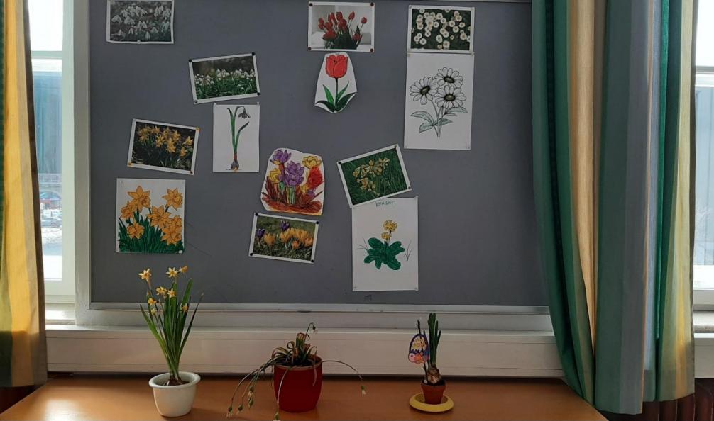 Collage über Frühblüher