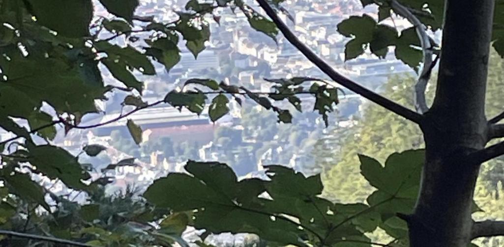 CB Blick auf unsere Schule