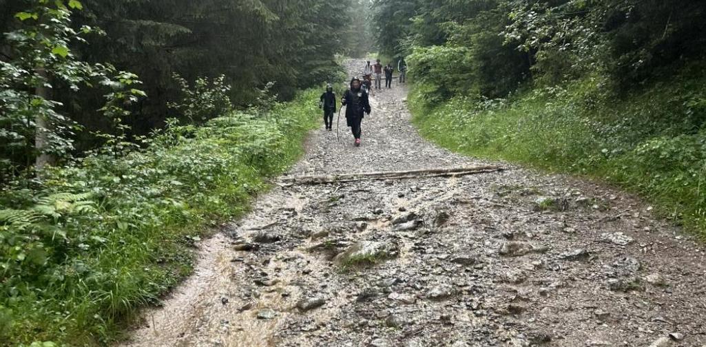 Wanderung ins Tal