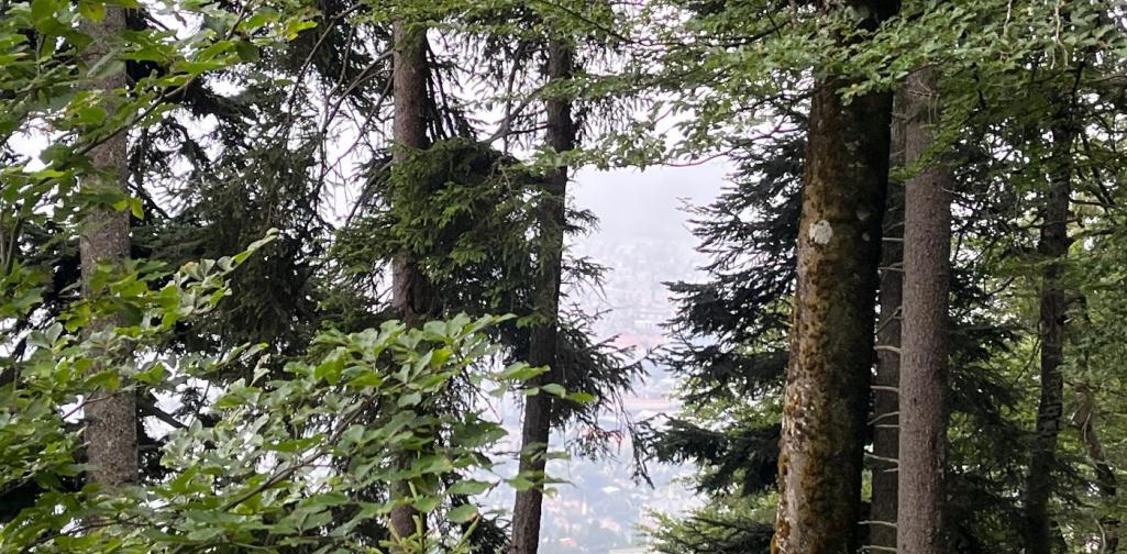 Blick ins verregnetet Innsbruck