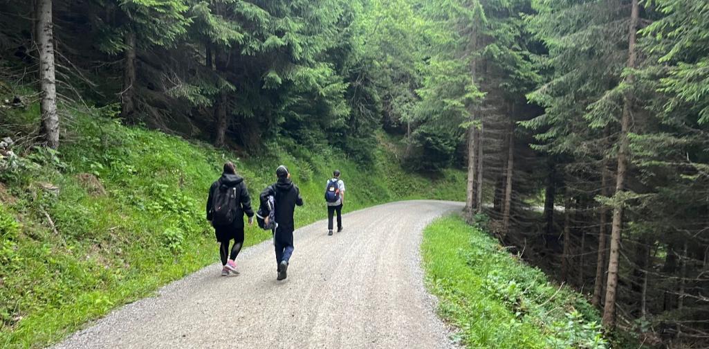 Wanderung ins Tal