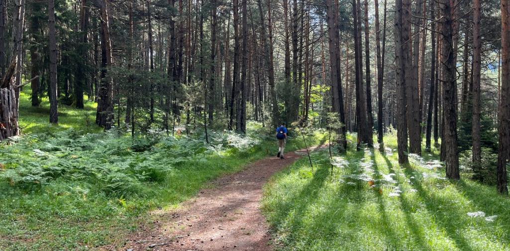 Auf dem Weg in ins Brunntal